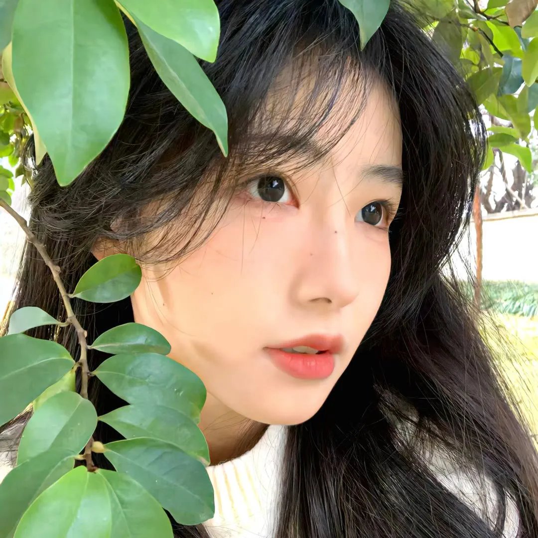 使徒行者2粤语